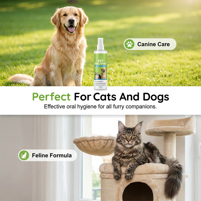 Natural Pet Dental Spray